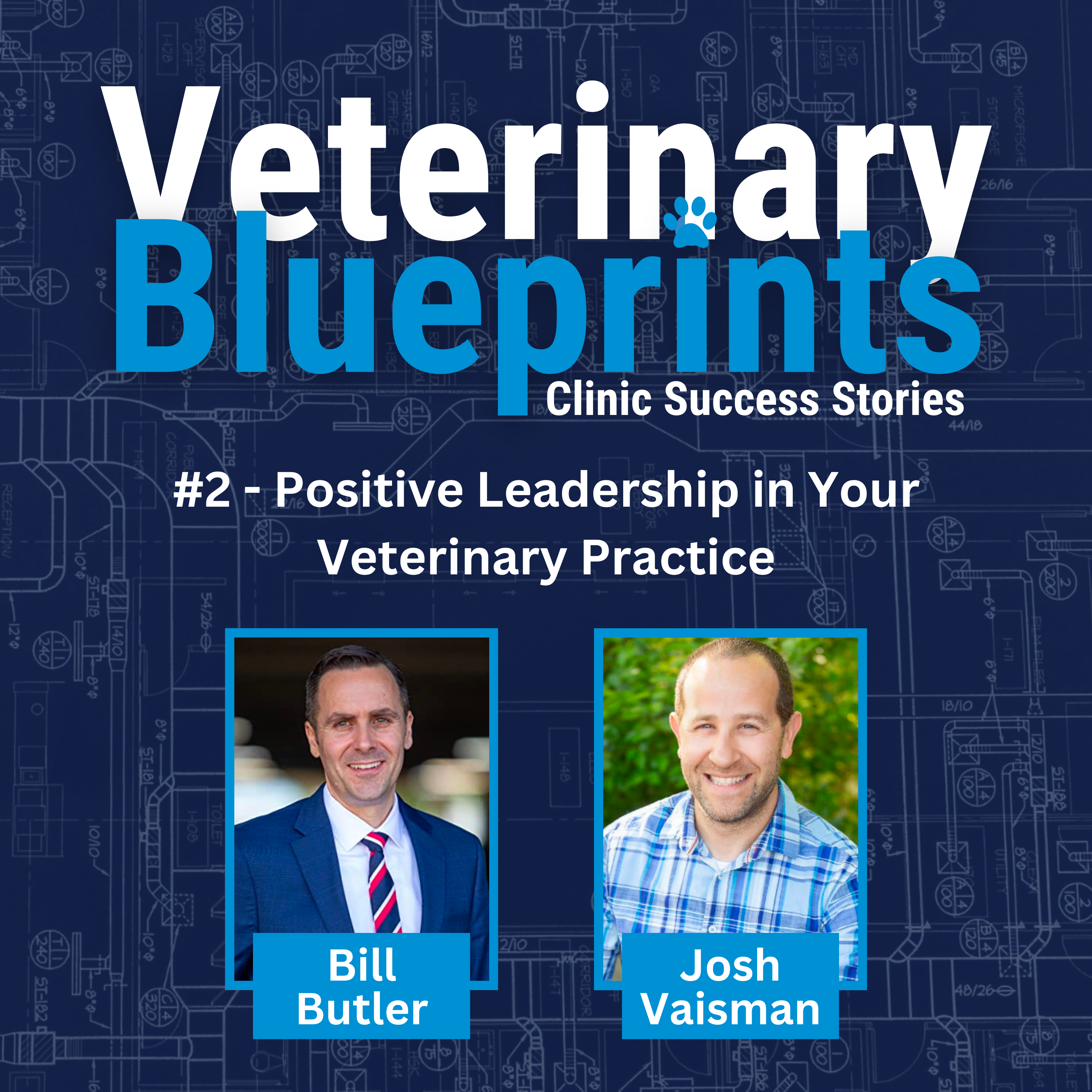 Practice Leadership in Your Veterinary Practice